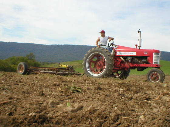 merollerharrowing2002.jpg